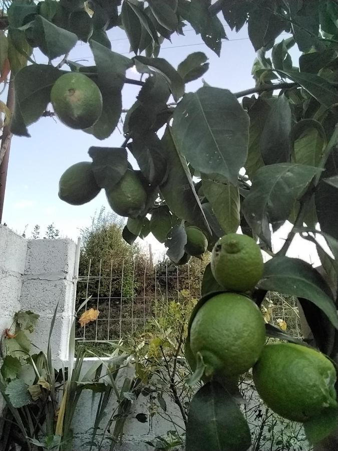 Plaka Frasta'S Rose公寓 外观 照片